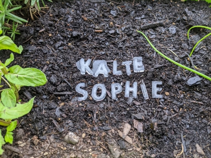 Kalte Sophie